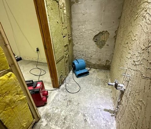 2aa795b6-e938-43a0-aea5-72d76d18c4e1